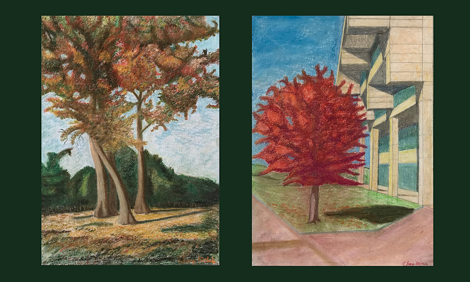 Drawings of trees on CSU campus