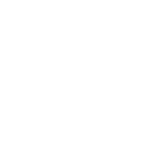 Government