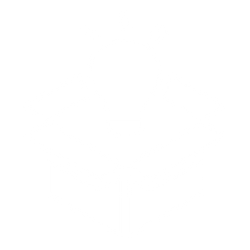 White Light Bulb Icon