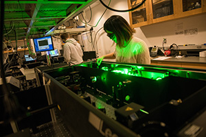 NSF announces $25 million institute in Chicago for quantum biology research